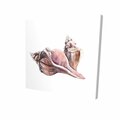 Fondo 16 x 16 in. Horse Conch Seashells-Print on Canvas FO2774468